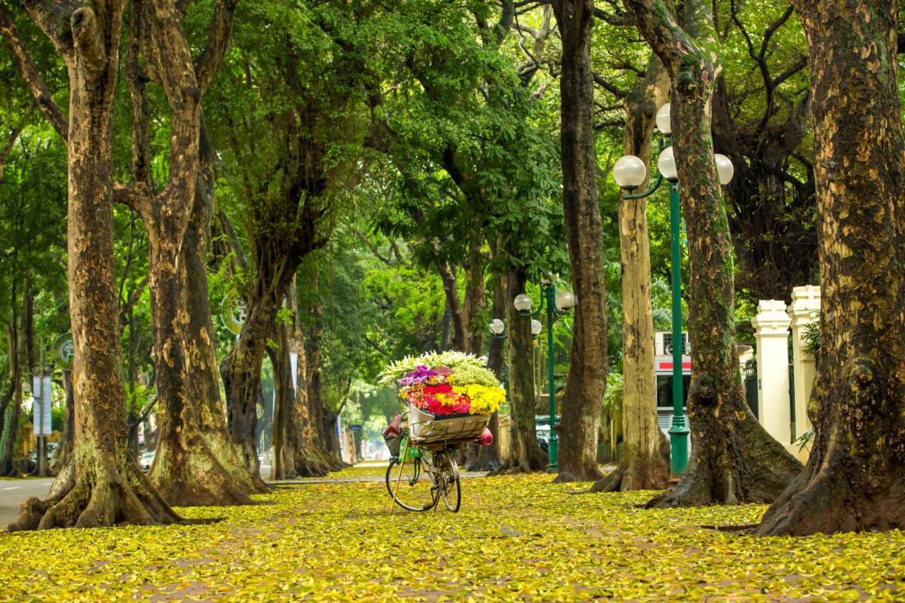 Hanoi Center Silk Hotel & Travel Dış mekan fotoğraf